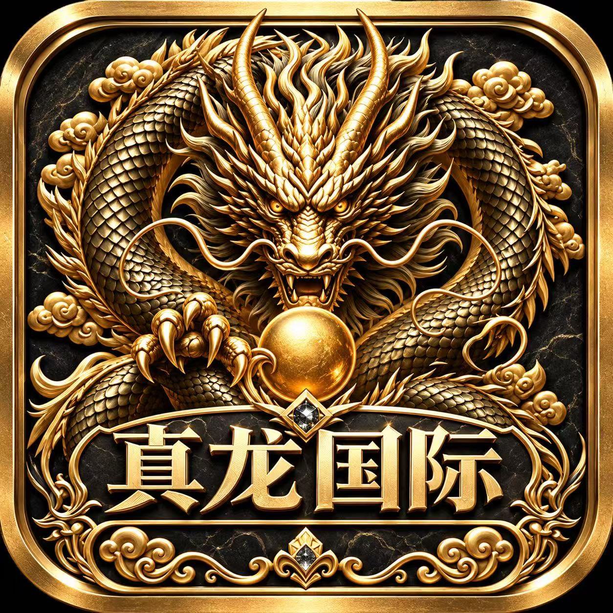 真龙国际